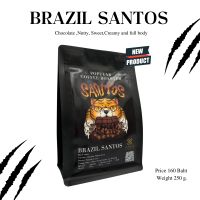 เมล็ดกาแฟคั่ว Brazil Santos - คั่วเข้ม