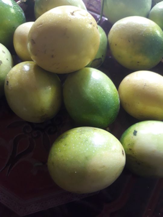 Jual Buah Markisa Kuning Segar 1 Kg Lazada Indonesia