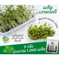 เมล็ด ต้นอ่อน บลอคโคลี่ (1,000 เมล็ด ) 5 กรัม ต้นอ่อน ไมโครกรีน Microgreens นำเข้าจากอิตาลี