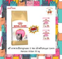 Royal Canin Kitten Persian อาหารสำหรับลูกแมวเปอร์เซีย 10kg.ฟรี อาหารเปียกลูกแมว 2 ซอง