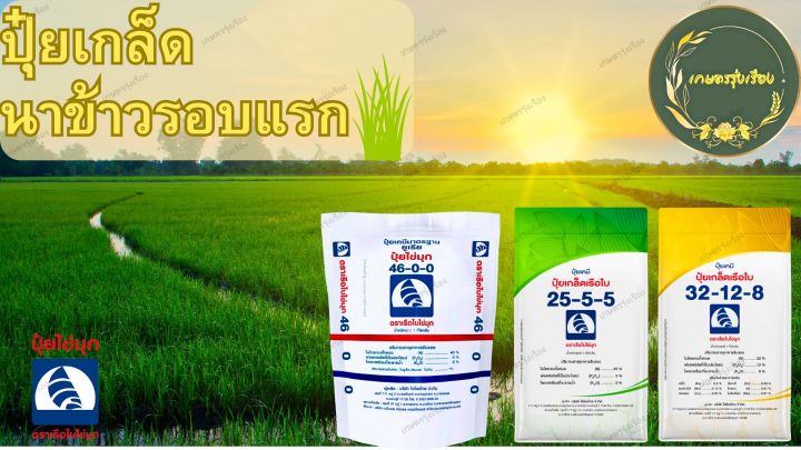 ปุ๋ยเกล็ด-25-5-5-ตราเรือใบไข่มุก-1กก-สูตรเร่งต้น-ใบ