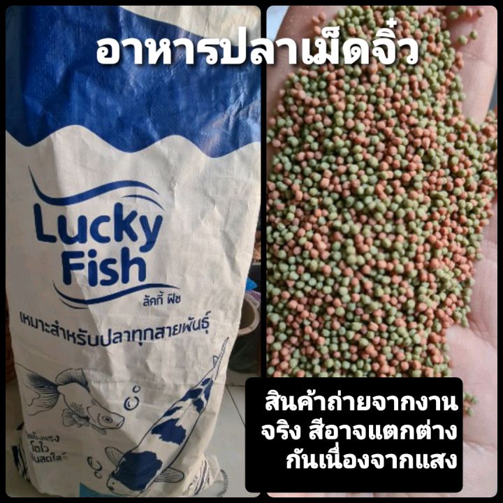 อาหารปลาหางนกยูง-ปลาทอง-ปลาคราฟ-ปลาสวยงามทุกชนิด-1-kg-แพคใส่ถุงซิปล๊อค