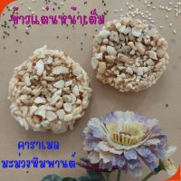 ข้าวแต๋น หน้าเต็ม คาราเมลมะม่วงหิมพานต์  ทำสดใหม่ทุกวัน