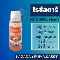 ไรซ์สตาร์ 500 ml. (ฟีโนซาพรอป-พี-เอทิล) กำจัดหญ้าข้าวนก หญ้าแดง หญ้าดอกขาว