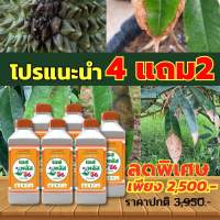 โปรวันนี้ 4แถม2 เอสพลัสจี6 เสริมภูมิคุ้มกัน ฟื้นฟูและป้องกันเชื้อราในทุเรียน ใบไหม้ ใบจุด ใบเหลือง