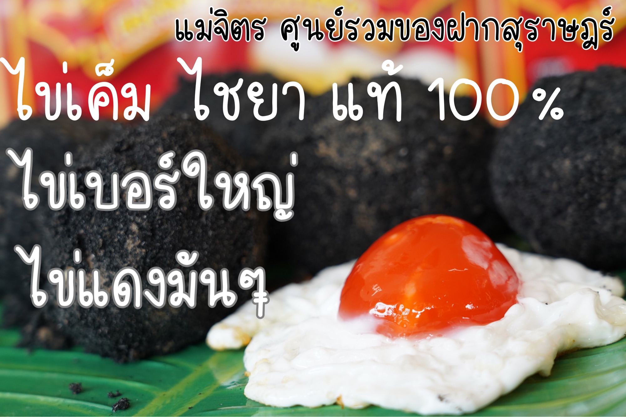 ไข่เค็ม ไชยา แม่จิตร **(11ฟอง) ไข่เค็มไชยาแท้ 100% สินค้าโอทอป มาตรฐาน GMP ไข่ใหญ่ ไข่แดง สามารถนำไปทอดไข่ดาวเค็ม และต้มไข่เค็มได้ เป็ดไข่ทุกวัน