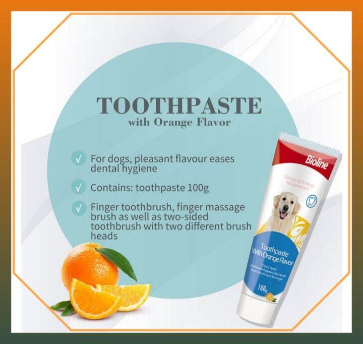 Bioline Dog Toothpaste Orange Flavor 100g (Toothpaste only) Lazada PH