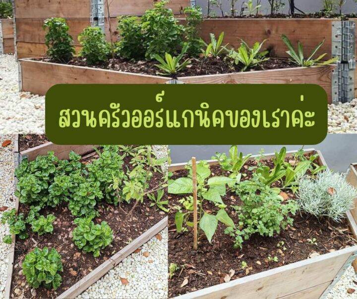 ดินหมักใบก้ามปู4-5กก