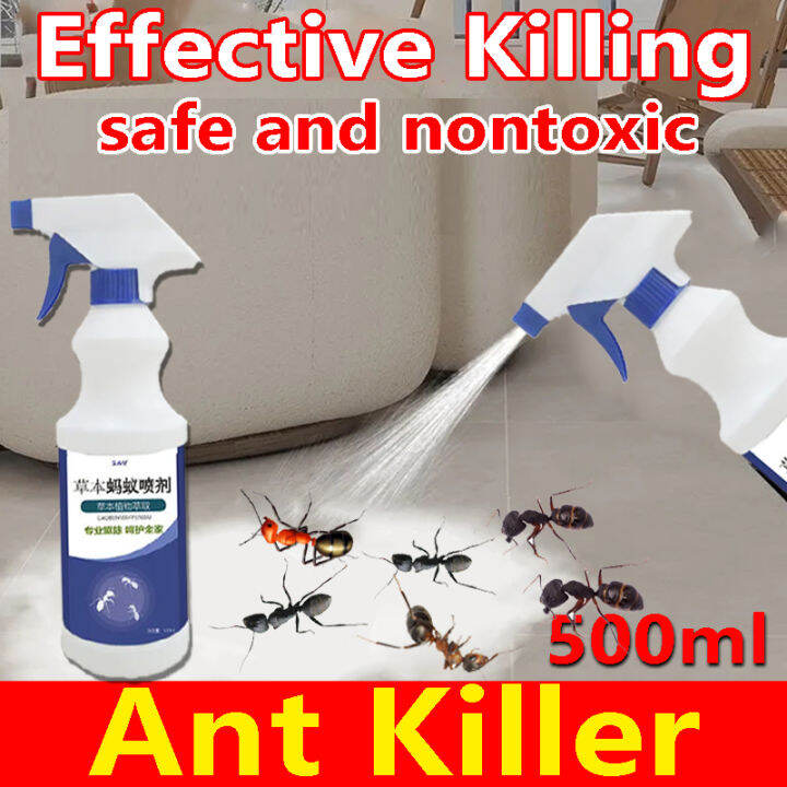 🥇Kill all ants🥇ant killer 500ml, 10 years without ants, ant insect