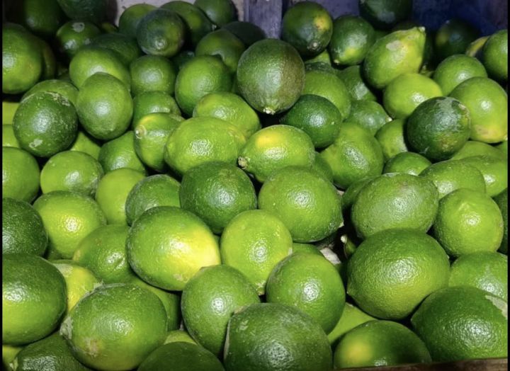 Dayap Local Native Fresh Lime Philippines Green Lemon Fresh Fruits