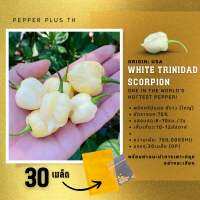 เมล็ดพันธุ์พริก White Trinidad Scorpion สีขาวผลใหญ่ 30 เมล็ด เผ็ดกว่าทุกสี