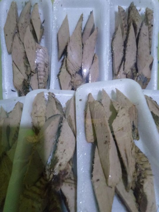 Ikan Tongkol Pindang Tongkol Iris 250gr Lazada Indonesia