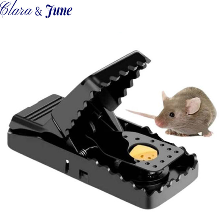 Clara.Mouse Rat Traps - High Sensitive Snap Big Plastic Mouse Trap ...