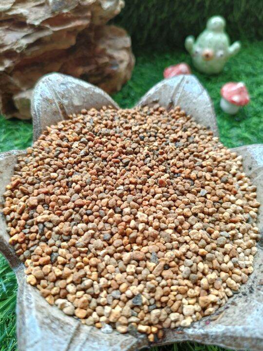 Kiryuzuna Bonsai Soil Lazada PH