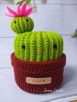 Tissue box cover with smile face cactus