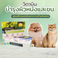 Dermega 60 เม็ด วิตามินบำรุงผิวหนังและขนสำหรับสัตว์เลี้ยง