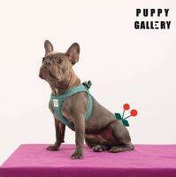 เสื้อรัดอก ฮาเนส นำข้าจากเกาหลี Puppy Gallery รุ่น Cherry Check harness ลายสก๊อตสีเขียว Green