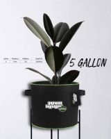 ? 5 แกลลอน ?กระถางผ้า Brothers Grow Bag ขนาด 5 แกลลอน ?สีดำแถบเขียว กระถางปลูกพืช กระถางต้นไม้ ? ‼️ฟรี สติกเกอร์ Grower Brothers ‼️