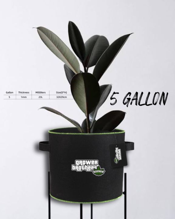 🔥 5 แกลลอน 🔥กระถางผ้า Brothers Grow Bag ขนาด 5 แกลลอน 🪴สีดำแถบเขียว กระถางปลูกพืช กระถางต้นไม้ 🌱 ‼️ฟรี สติกเกอร์ Grower Brothers ‼️