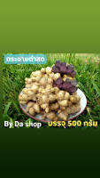 กระชายดำ จากยอดดอย เมืองน่าน ขนาด 500 กรัม (Fresh Black galingale) 0.5kg