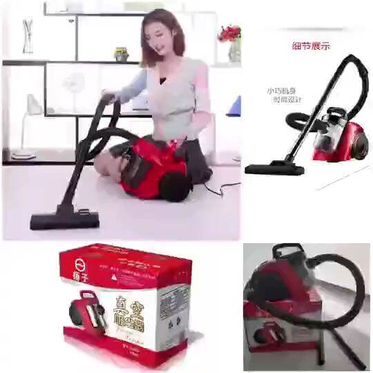 Electric Vacuum Cleaner for home Dust Collector Portable cleaning