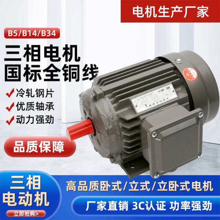 Shanghai Dedong Three-Phase Induction Motor 550W National Standard ...