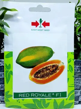 Shop Sigarilyas Seeds East-west online