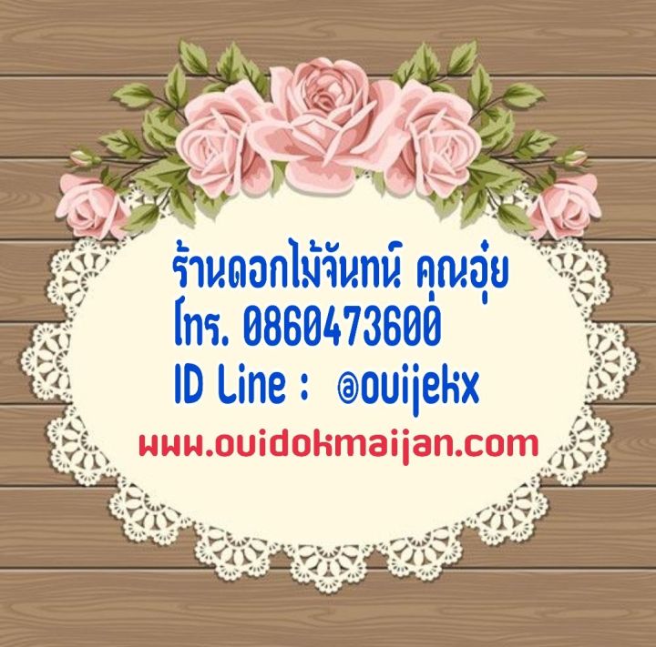 กระดาษลายหรีด-ขนาดกลาง-กระดาษทำพวงหรีด-ใช้ติดของใช้ที่กระดาษลายหรีด