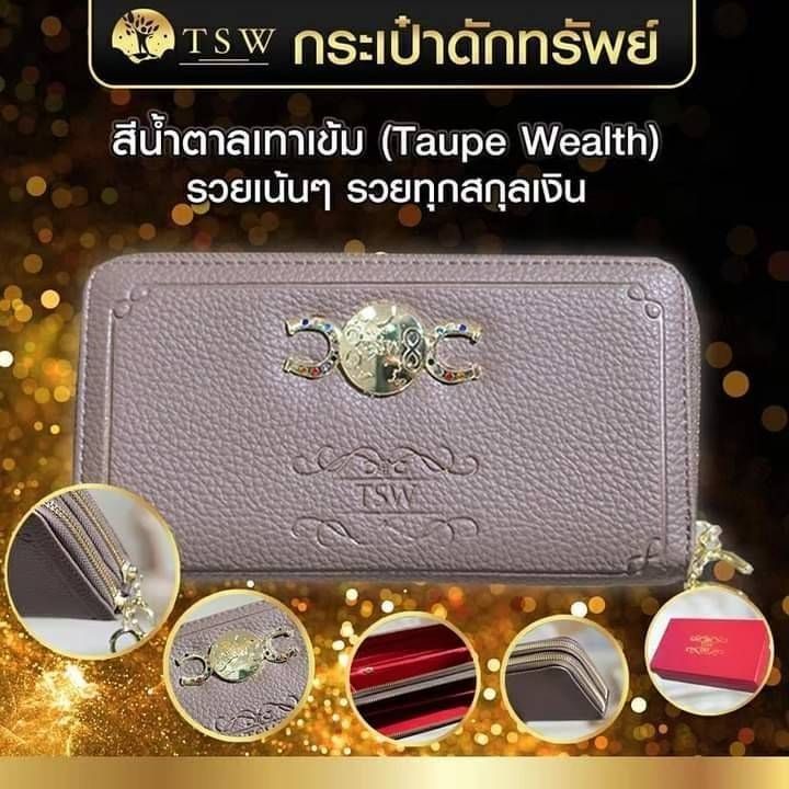 กระเป๋าดักทรัพย์-tsw-techersita-ของแท้-รวยเน้นๆ-รวยทุกสกุลเงิน-สีน้ำตาลเทาเข้ม-taupe-wealth