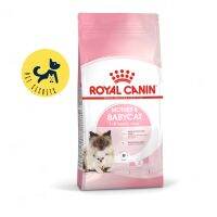 Royal Canin Mother &amp; Babycat 2kg. อาหารลูกแมว แบบเม็ด ช่วงหย่านม 4 เดือน