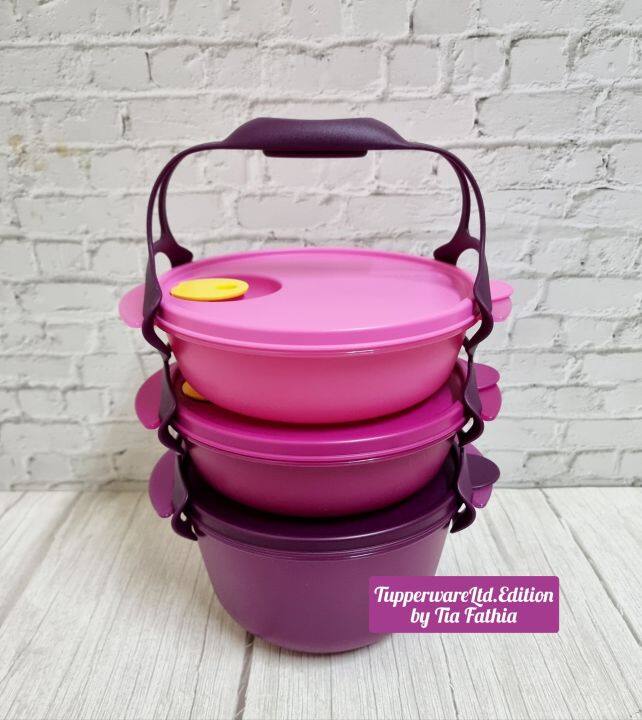 Tupperware Carry-all With Pie Rack & Handle 