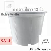 Little กระถางขาว 12  นิ้ว(สีขาวออร่าA+?)(สีใสA+?) 10 นิ้ว 10.5 นิ้ว