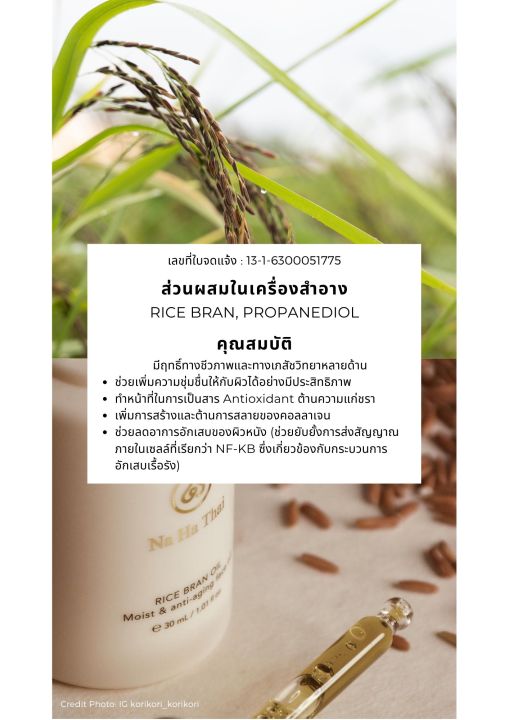 ออยล์-ณ-หทัย-oil-น้ำมันข้าวมะลินินสุรินทร์-amp-oil-น้ำมันข้าวทับทิมชุมแพ