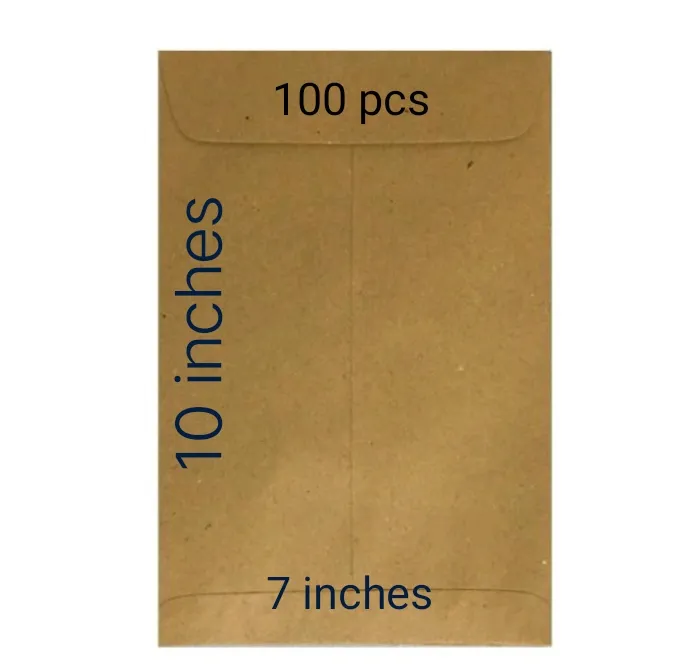 100 pcs CATALOG ENVELOPE 7x10 inches) Lazada PH
