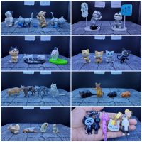 Koyodai model animal gachapon โมเดลสัตว์ งานโคโยได กาชาปอง