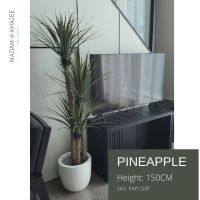 Pineapple Tree 150CM-ต้นเสับปะรด ต้นไม้ปลอมเกรดพรีเมี่ยมเพื่อการตกแต่ง ต้นไม้ประดิษฐ์ตกแต่งบ้าน คอนโด สำนักงาน โรงแรม Premium Artificial Plant #madamkhajee #minimal