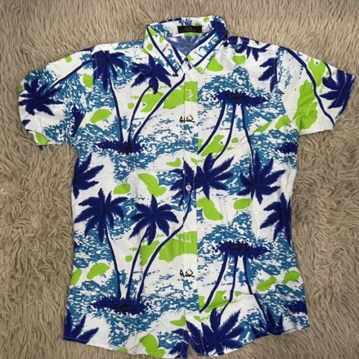 Types Of Hawaiian Polo Shirts at Barbara Sirois blog