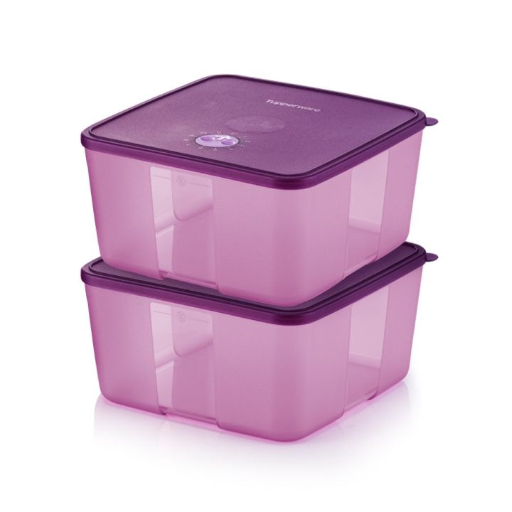 tupperware-freezermate-with-dial-กล่องทัพเพอร์แวร์ที่สามารถเก็บอาหารแช่เย็นหรือแช่แข็งได้ที่อุณหภูมิต่ำสุด-20-องศา