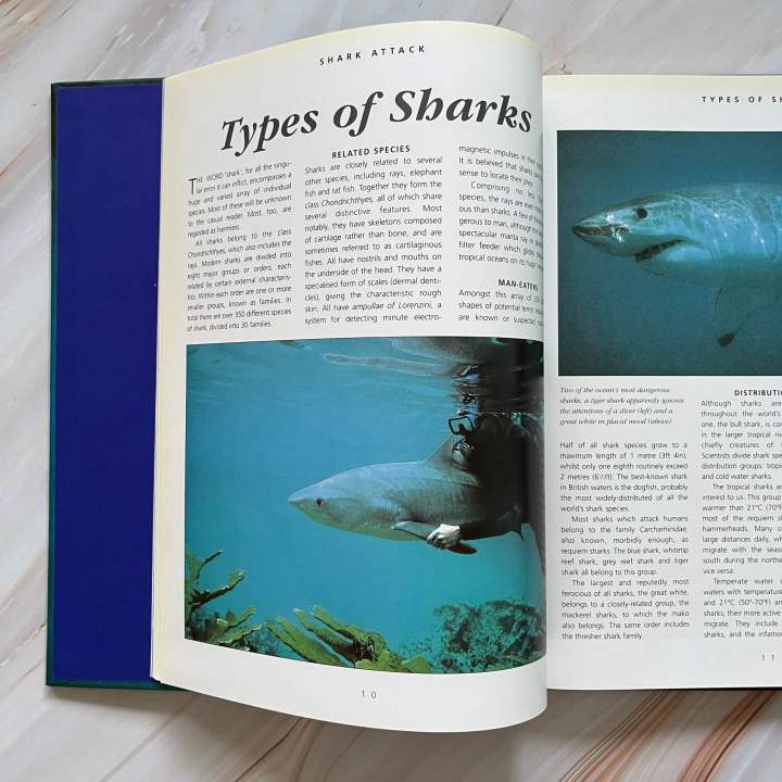 หนังสือสารานุกรมความรู้-สำหรับเด็ก-ภาพสวย-คมชัด-shark-attack