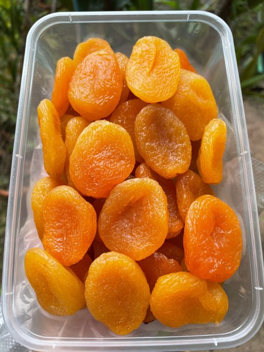 แอปริคอต-500-กรัม-dried-apricots