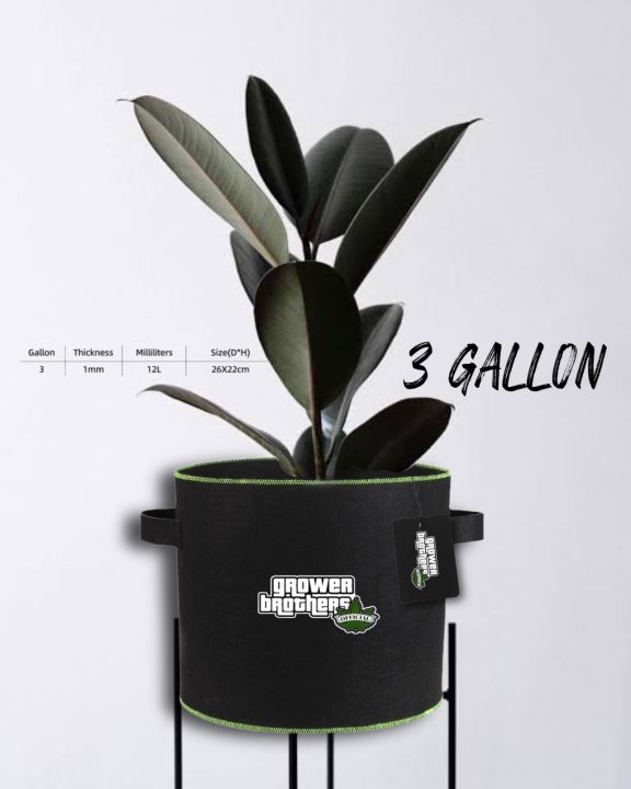 🔥 3แกลลอน 🔥กระถางผ้า Brothers Grow Bag ขนาด 3 แกลลอน 🪴สีดำแถบเขียว กระถางปลูกพืช กระถางต้นไม้ 🌱 ‼️ฟรี สติกเกอร์ Grower Brothers ‼️