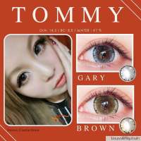 คอนแทคเลนส์ ? Tommy ? Gray / Brown (Pitchy Lens)?สีเทา น้ำตาล ?รุ่นดัง