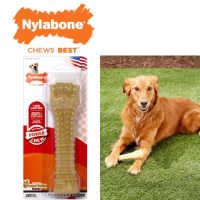 Nylabone Power Chew ของเล่นขัดฟัน