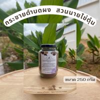 กระชายดำบดผง กระชายดำผง ใส่ขวดแก้ว 250กรัม