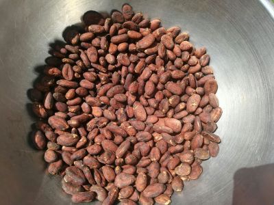 เมล็ดโกโก้แห้ง/Cocoa bean (1ขีด /0.1kg) ใช้ประกอบอาหารไม่ได้ใช้ปลูก