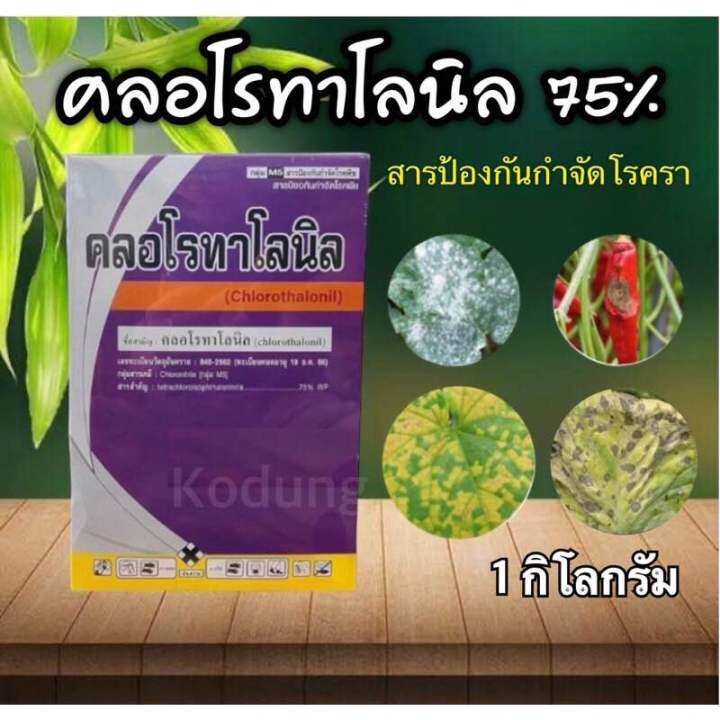 คลอโรทาโลนิล-รักษาโรคสนิม-ราน้ำค้าง-ใบจุด-1-กิโลกรัม