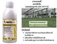 ไฟแท็ปเอ็ม เมทาเล็กซิล35% สูตรดูดซึมเร็ว รักษาไฟท็อปเธอร่า ทาแผลต้นได้ ขนาด1ลิตร