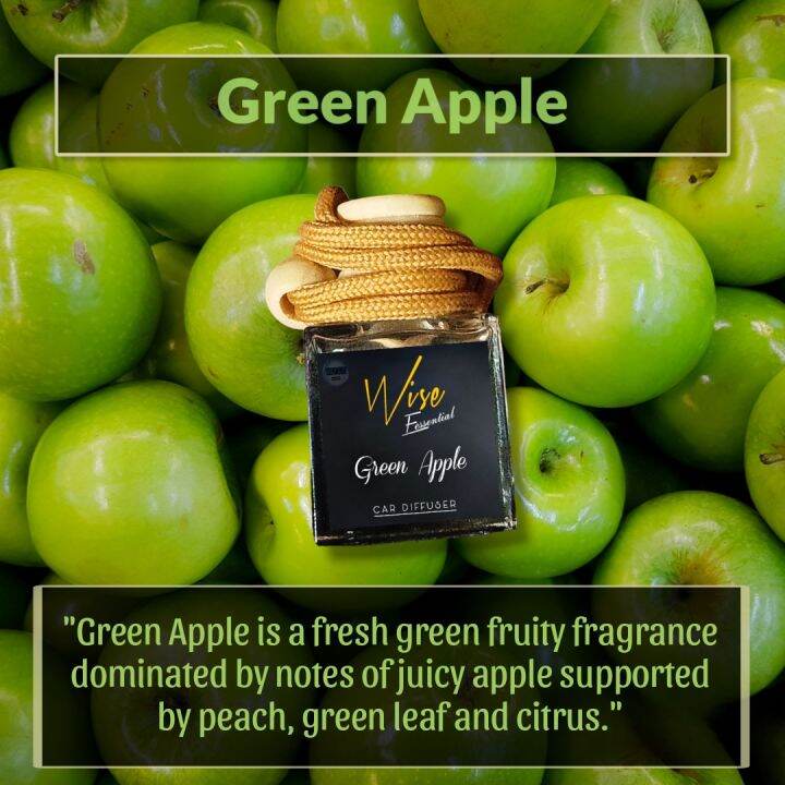 CAR HANGING DIFFUSER 10ML GREEN APPLE SCENT Lazada PH