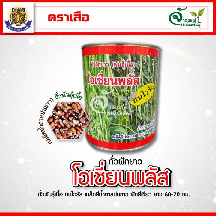 ถั่วฝักยาว-โอเชี่ยนพลัส-ถั่วพันธุ์เนื้อ-ตราเสือ-มีขนาด-500-กรัม