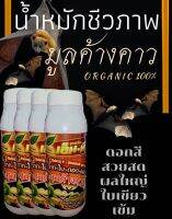 โปรโมชั่น ?น้ำหมักมููลค้างคาว1ล.79.-?เร่งตาดอก ออกผลเยอะ ขั้วผลดอกใหญ่ เพิ่มรสชาด เข้าสีผลสวย